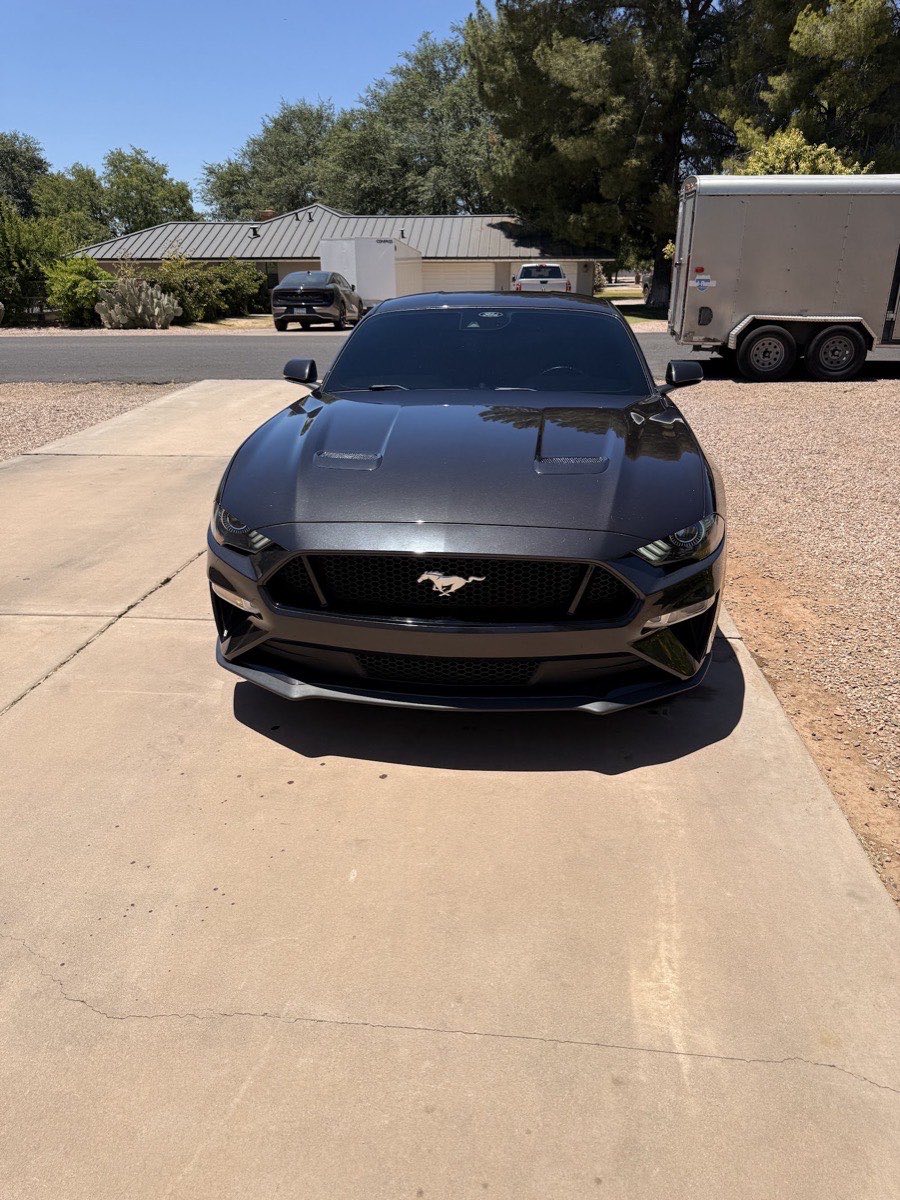 Black Mustang GT freshly detailed in a Phoenix driveway