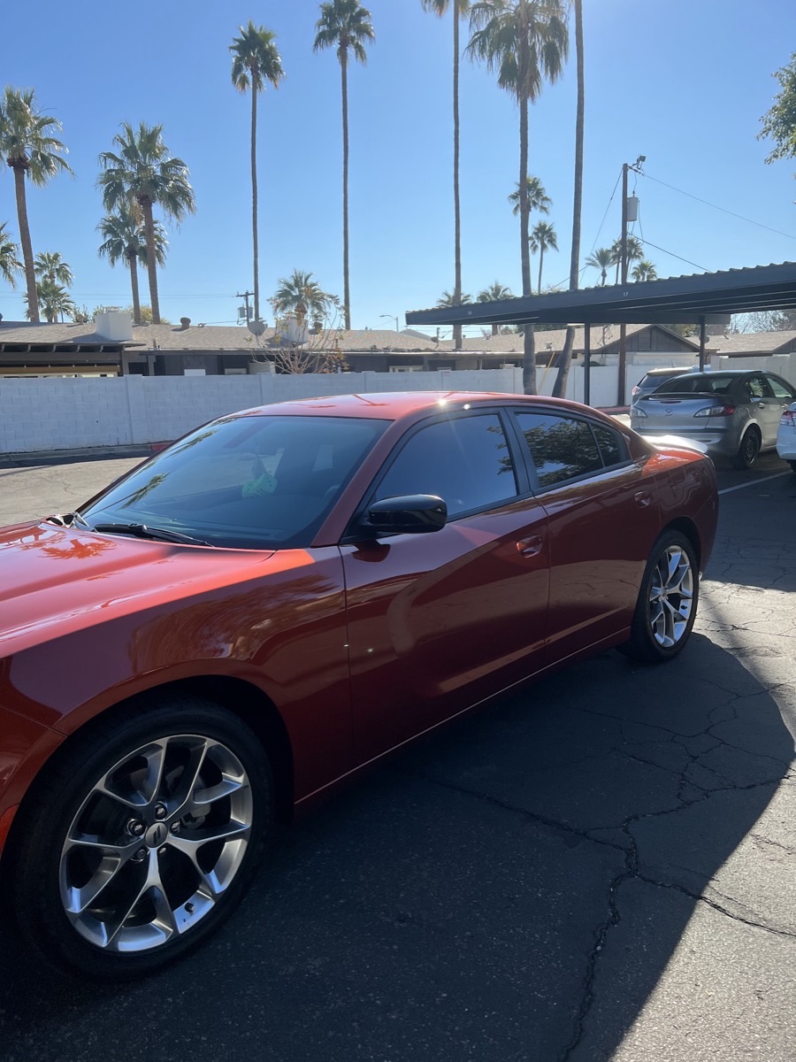 Burnt orange Dodge Charger polished under Phoenix palm trees